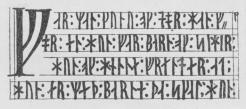 Fig. 28. Codex runicus.