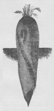 Fig. 3. Elvetham-Runkelroe.