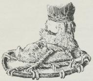 Fig. 1. Norsk Truge.