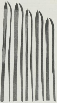 Fig. 4.<bParrene er fra venste til højre:<bFjeldski — Hopski — Langrendski — Terrainski<bog et Par Ski for Damer.