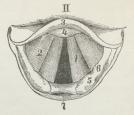 Fig. 2 b.