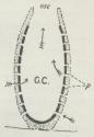Fig. 1. Kanalsystem<baf 1. Type. osc<bOsculum, GC<bGastralhule, P Porer.