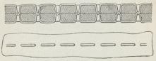 Fig. 3. Fig. 3.
