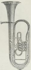 Tenorhorn.