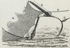 Fig. 1. Bomtrawl set fra Siden. A Nettet, B<bBommen, C Slæden, D Hanefod, F Tømmen.
