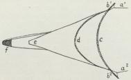 Fig. 2. Ottertrawl (Skovltrawl), a<su1</su og a<su2</su Trosser, b<su1</su<bog b<su2</su Skovlene, c Overliget, d Underliget, e Kalv,<bf tætmasket Pose, som tilbageholder de mindre Fisk.