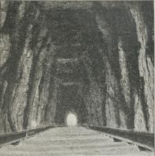 Fig. 2. Fig. 2.