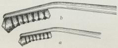 Fig. 9. Form af en Tandbørste, der kan komme til<boveralt. 2 Størrelser, a for Børn efter Tandskiftet.<b(Naturlig Størrelse).