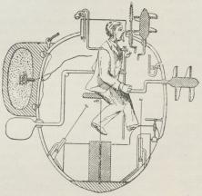 Fig. 3. Den amerikanske Skildpadde.