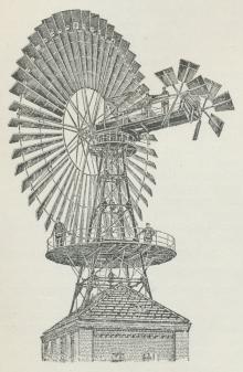 Fig. 4. Vindrose.
