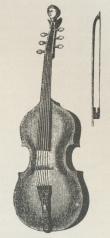 Fig. 1. Viola di gamba (Gambe).