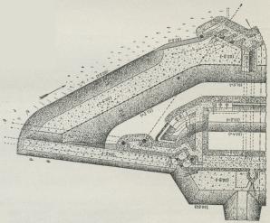 Fig. 3. Fig. 3.