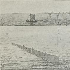 Fig. 1. Rødspættegarn.