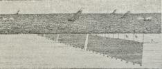 Fig. 2. Hankegarn.