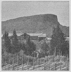 Gausdal.