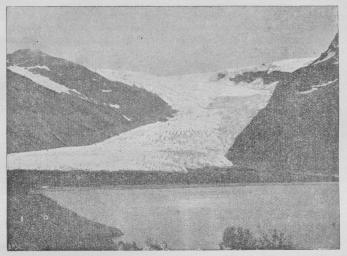 Fig. 1. Svartisen (Nordland).