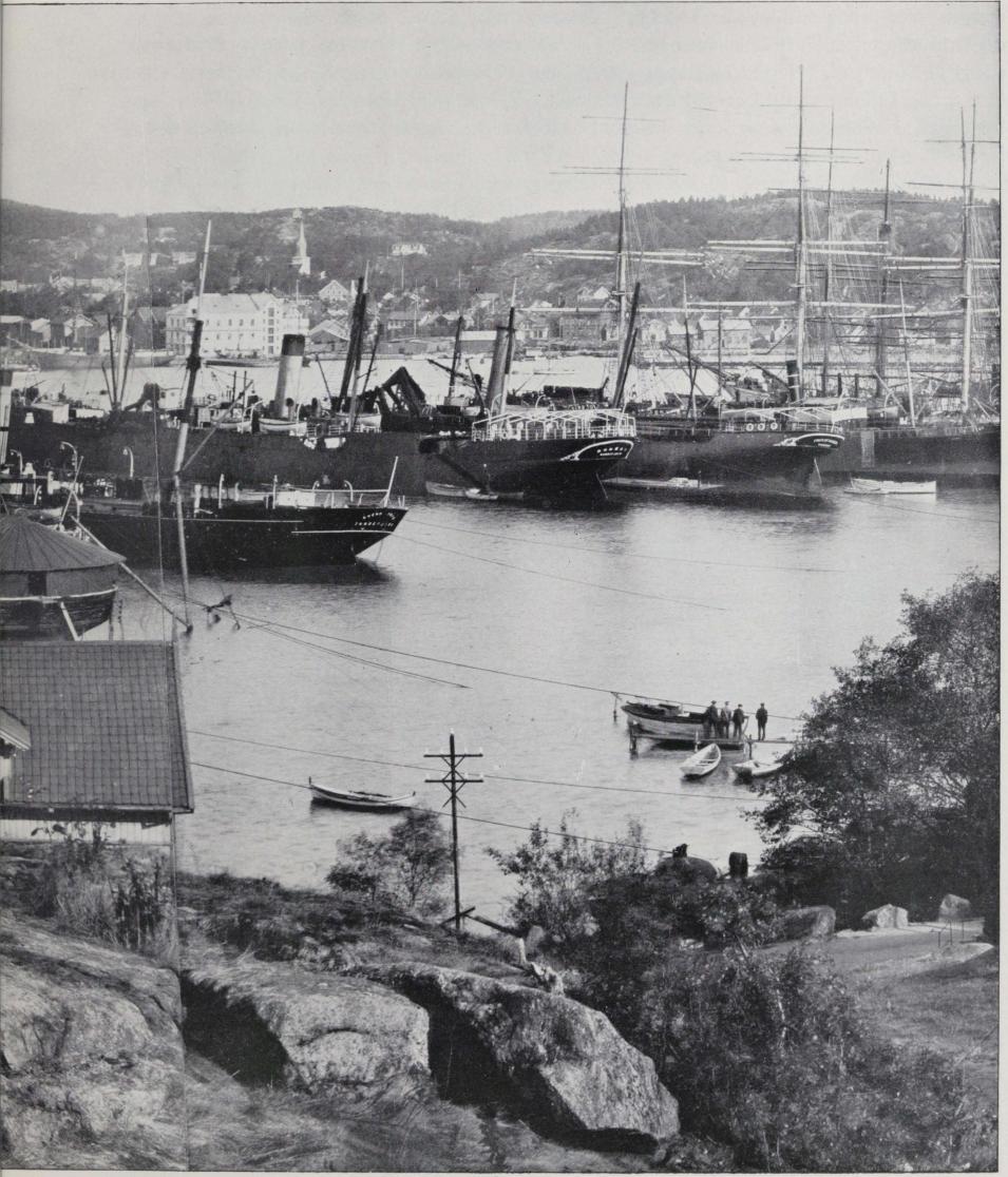 Parti fra Sandefjords havn.