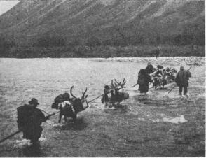 Fig. 1. Vadning över Sarvesjokk. A. H. 29 aug. 1900. Fig. 1. Vadning över Sarvesjokk. A. H. 29 aug. 1900.