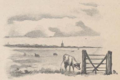 Fra Marsken ved Visby.