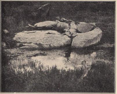 Fig. 1. Den återupptagna Sigfridskällan vid Östrabo.