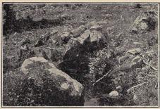 Fig. 2. Sigfridskällan i Urshult. Fig. 2. Sigfridskällan i Urshult.