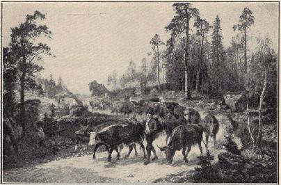 Fig. 56. Nils Andersson: Oxdrift i Småland.