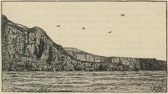 <smalIll. F. N.[=Fridtjof Nansen]</smal<bFugle-fjellet på sydsiden av Bjørn-øen.<b<smal(Efter et fotografi av A. Hamberg.)</smal