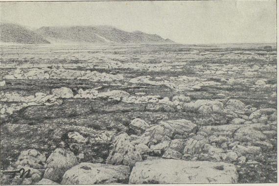 <smalIll. F. N.[=Fridtjof Nansen]</smal<bHollender-nesset på sydøst-siden av Amsterdam-øen.<bMarken opdelt i felter omgit av gjerder med tildels svær sten.