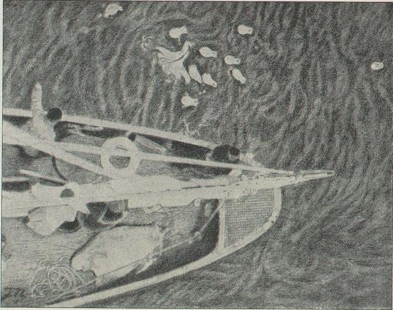 <smalIll. F. N.[=Fridtjof Nansen]</smal<b„Veslemøy’s“ akter-dekk set fra tønnen. Kåre mater havhestene.