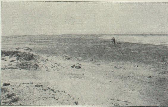 <smalIll. F. N.[=Fridtjof Nansen]</smal<bSmeerenburg-sletten med hauger efter de gamle tran-kokerier (s. 222).