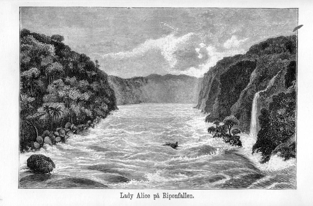 Lady Alice på Riponfallen.