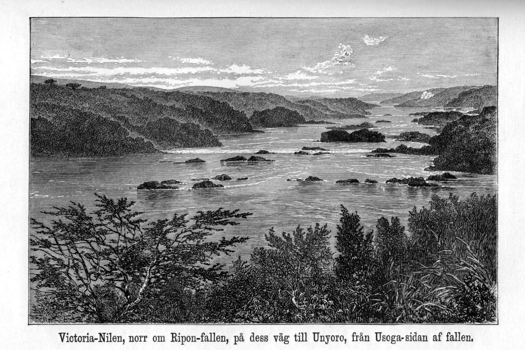 Victoria-Nilen, norr om Ripon-fallen, på dess väg till Unyoro, från Usoga-sidan af fallen,