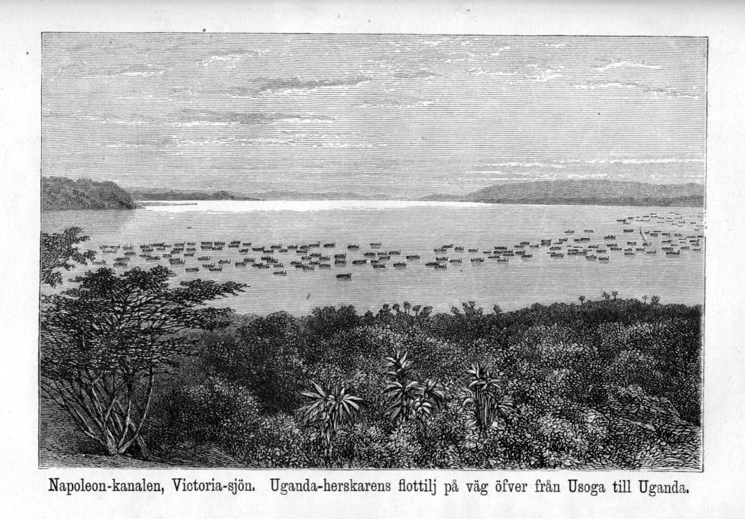 Napoleon-kanalen, Victoria-sjön. Uganda-herskarens flottilj på väg öfver från Usoga till Uganda.
