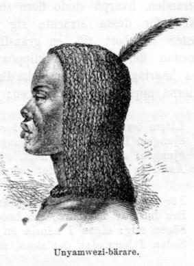 Unyaniwezi-bärare.
