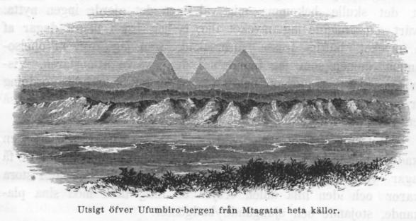 Utsigt öfver Ufumbiro-bergen från Mtagatas heta källor.