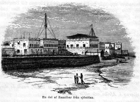 En del af Zanzibar från sjösidan. En del af Zanzibar från sjösidan.