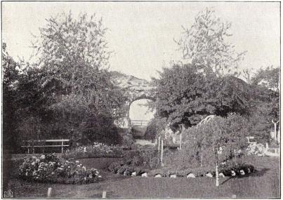 STEGEHOLMS SLOTTSRUIN