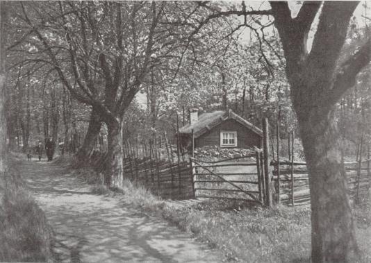 SÖRMLANDSIDYLL. GAMMAL STUGA I NÄRHETEN AV NYKÖPING.<b<bDAN SAMUELSON foto.