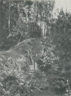 EN VRÅ I HAGMARKEN,<bSÖDERTÖRN.<bB. E. Hildebrand foto.<b