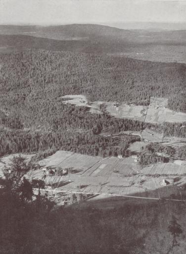 C. G. Rosenberg foto.<bFRÅN RÄNNEBERGET I ÖSTMARK, VÄRMLAND. SER MAN ODLINGARNA<bSOM LJUSA FLÄCKAR I SKOGSMATTAN.