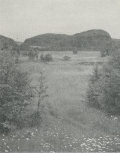 Landskapsbild från Älvsbacka. Som kupoler och ryggar<bhöja sig hyperitbergen över gnejsterrängen.<bC. G. Rosenberg foto.<b Landskapsbild från Älvsbacka. Som kupoler och ryggar<bhöja sig hyperitbergen över gnejsterrängen.<bC. G. Rosenberg foto.<b