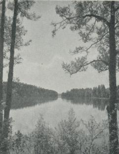 Sjön Svan vid Svaneholm, en av de många vackra<bsjöarna i sydvästra Värmland.<bC. G. Rosenberg foto.<b