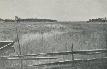 C. G Rosenberg foto.<b<bFrån Klarälvens deltaland öster om Karlstad. För varje år avlagras här nya massor<bav sand. C. G Rosenberg foto.<b<bFrån Klarälvens deltaland öster om Karlstad. För varje år avlagras här nya massor<bav sand.
