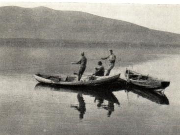 <smalFörf. foto.<bNotdragning i Yrafsjön. Man fiskar med not på sommaren; nätfisket lönar sig ej<bvid denna tid, då nätterna äro så ljusa att fisken kan se näten.</smal <smalFörf. foto.<bNotdragning i Yrafsjön. Man fiskar med not på sommaren; nätfisket lönar sig ej<bvid denna tid, då nätterna äro så ljusa att fisken kan se näten.</smal