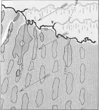 Fig. 6. Floden Tarim med närliggande sjöar och bajirer enligt<bSven Hedin.