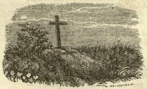 <smalill. WEIDENHAMN, sc.</smal