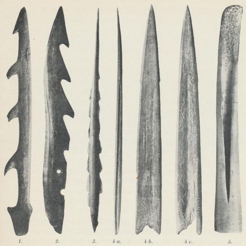 Fiskedon från Sveriges äldre stenålder, harpuner och längst till höger en nätsticka.<bHarpunerna utarbetades antingen med i benet utskurna hullingar (1—2) eller försågos med<ben smal skåra längs sidokanterna, i vilka insattes små flintflisor, som höllos fast vid<bbenspetsen genom tätning med harts (3—4), en onekligen genial konstruktion, som vittnar<bgott om dessa primitiva månniskors uppfinningsförmåga. 1—3 stamma från Skåne;<bharpunen, fig. 4, som förlorat sina flinthullingar och för övrigt är rikt ornerad, har upptagits<bur ett kalkhaltigt jordlager i Offerdals socken uppe i Jämtland, det nordligaste, tillförlitligt<bdaterade fyndet från Ancylustidens Sverige; nätstickan, fig. 5, från Bohuslän är likaledes<bdekorerad med Ancylustidens geometriska mönster, som här liksom å så många andra<bexempel från samma tid tycks återgå på linjespelet i »sömnad- och flätningsarbetena, där<bde varandra korsande trådarna och fibrerna mekaniskt bilda mönster, som fånga ögat».