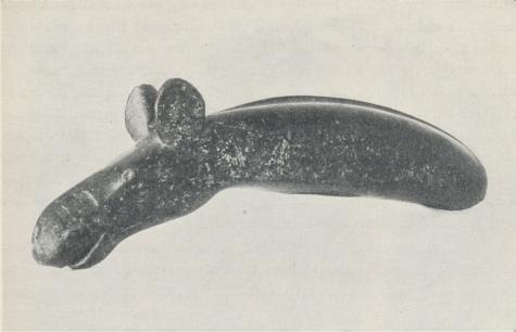 Den nordiska stenålderns praktfullaste stenskulptur, ett älghuvud, funnet i Alunda socken,<bUppland (2000—1500 f. Kr.). Den står tämligen isolerad i det nordiska fyndmaterialet<bmen hör säkerligen nära samman med den primitiva konst, som träder oss till mötes<bi den yngre stenålderns ristningar på Nordskandinaviens bergytor. Å undersidan av<bskulpturens halsparti finnes en djup, konisk urgröpning, som sannolikt utgör början till<bett ej fullbordat skafthål och därmed anger, att föremålet burits som ett slags<bhövdingetecken el. dyl. på en trästång. Den nordiska stenålderns praktfullaste stenskulptur, ett älghuvud, funnet i Alunda socken,<bUppland (2000—1500 f. Kr.). Den står tämligen isolerad i det nordiska fyndmaterialet<bmen hör säkerligen nära samman med den primitiva konst, som träder oss till mötes<bi den yngre stenålderns ristningar på Nordskandinaviens bergytor. Å undersidan av<bskulpturens halsparti finnes en djup, konisk urgröpning, som sannolikt utgör början till<bett ej fullbordat skafthål och därmed anger, att föremålet burits som ett slags<bhövdingetecken el. dyl. på en trästång.