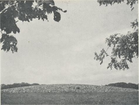 Stenröse från bronsåldern, det s. k. Bredarör vid Kivik. Sådant röset i våra dagar<btecknar sig för oss, ger det visserligen ej en exakt bild från bronsåldern, då det säkerligen en<bgång varit åtskilligt högre, men den väldiga omkretsen av 75 m:s diameter ger dock<bett mäktigt intryck av de tider, som en gång format det. Graven har länge legat i ruiner<bmen restaurerades under början av 1930-talet. Stenröse från bronsåldern, det s. k. Bredarör vid Kivik. Sådant röset i våra dagar<btecknar sig för oss, ger det visserligen ej en exakt bild från bronsåldern, då det säkerligen en<bgång varit åtskilligt högre, men den väldiga omkretsen av 75 m:s diameter ger dock<bett mäktigt intryck av de tider, som en gång format det. Graven har länge legat i ruiner<bmen restaurerades under början av 1930-talet.