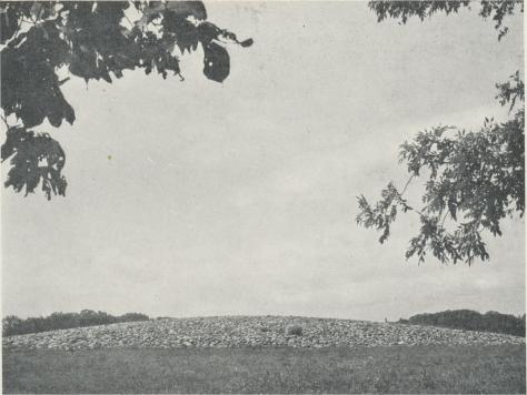 Stenröse från bronsåldern, det s. k. Bredarör vid Kivik. Sådant röset i våra dagar<btecknar sig för oss, ger det visserligen ej en exakt bild från bronsåldern, då det säkerligen en<bgång varit åtskilligt högre, men den väldiga omkretsen av 75 m:s diameter ger dock<bett mäktigt intryck av de tider, som en gång format det. Graven har länge legat i ruiner<bmen restaurerades under början av 1930-talet.